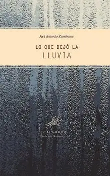 LO QUE DEJÓ LA LLUVIA.