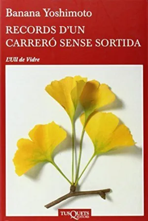 RECORDS D´UN CARRERÓ SENSE SORTIDA