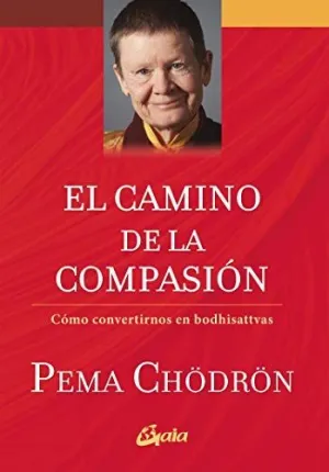 CAMINO DE LA COMPASIÓN, EL