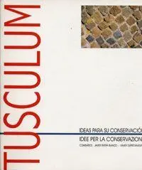 FUENTE ARCAICA DE TUSCULUM, LA: IDEAS PARA SU CONSERVACIÓN/ IDEE PER LA CONSERVA