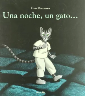 UNA NOCHE, UN GATO