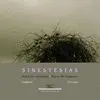 SINESTESIAS