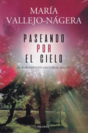 PASEANDO POR EL CIELO