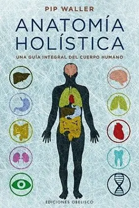 ANATOMÍA HOLÍSTICA: <BR> ANATOMÍA HOLÍSTICA: <BR>