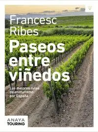 PASEOS ENTRE VIÑEDOS: LAS MEJORES RUTAS DE ENOTURISMO POR ESPAÑA