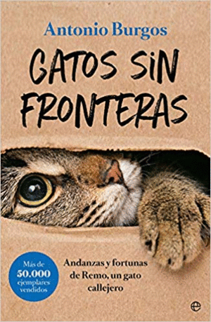 GATOS SIN FRONTERAS: ANDANZAS Y FORTUNAS DE REMO, UN GATO CALLEJERO