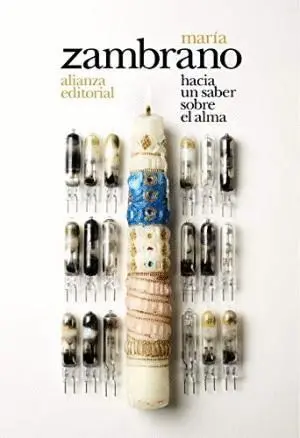HACIA UN SABER SOBRE EL ALMA