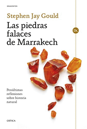 LAS PIEDRAS FALACES DE MARRAKECH. PENULTIMAS REFLEXIONES SOBRE HISTORIA NATURAL