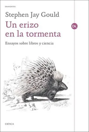 UN ERIZO EN LA TORMENTA