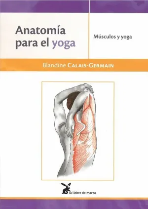 ANATOMÍA PARA EL YOGA: MÚSCULOS Y YOGA