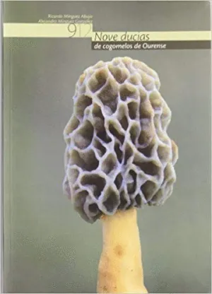 NOVE DUCIAS DE COGOMELOS EN OURENSE