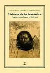 VISIONES DE LO FANTASTICO (APROXIMACIONES TEÓRICAS)
