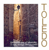 TOLEDO: UN PASEO POR EL LABERINTO. A WALK THROUGH THE LABYRINTH (ESP-ING.)