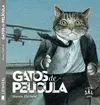 GATOS DE PELÍCULA