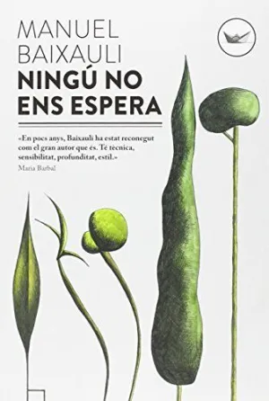 NINGU NO ENS ESPERA 2?ED - CAT