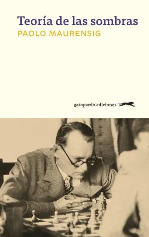 Teoría de las Sombras