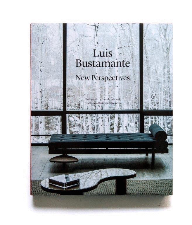 LUIS BUSTAMANTE: NEW PERSPECTIVES