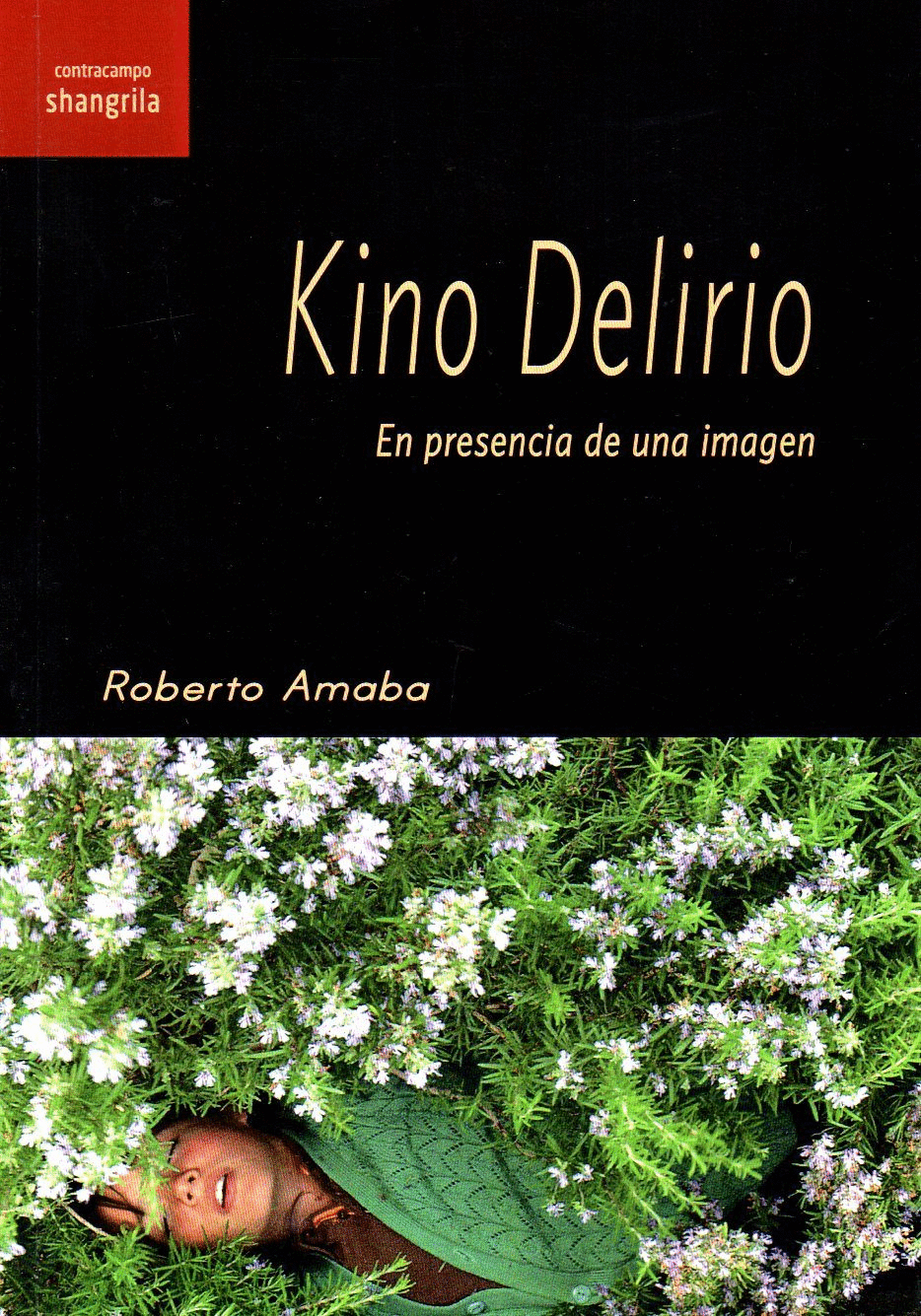 KINO DELIRIO<BR>