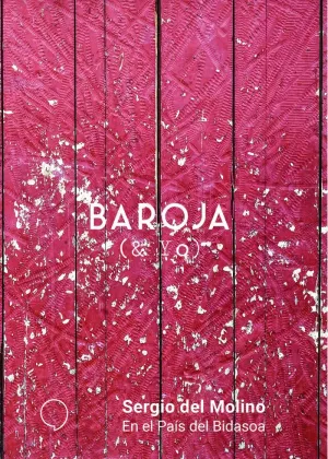 BAROJA (& YO): EN EL PAÍS DEL BIDASOA