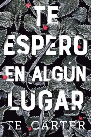 TE ESPERO EN ALGÚN LUGAR TE ESPERO EN ALGÚN LUGAR