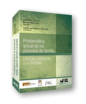 Problemática Actual de los Procesos de Familia.