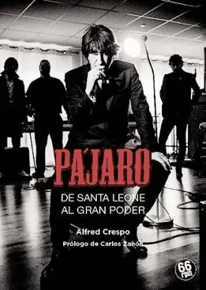 PÁJARO. DE SANTA LEONE AL GRAN PODER