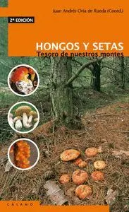 HONGOS Y SETAS : TESORO DE NUESTROS MONTES