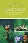 INVERTEBRADOS DE LA RESERVA NATURAL INTEGRAL DE MUNIELLOS, ASTURIAS