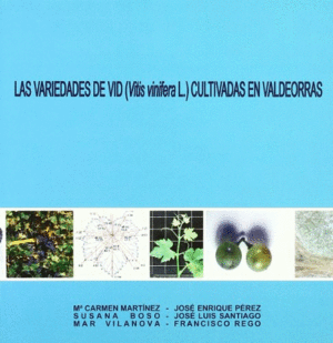 VARIEDADES DE VID (VITIS VINIFERA L.) CULTIVADAS EN VALDEORRAS, LAS.