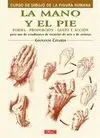 LA MANO Y EL PIE: FORMA, PROPORCIÓN, GESTO Y ACCIÓN PARA USO DE ESTUDIANTES DE ESCUELAS DE ARTE Y DE