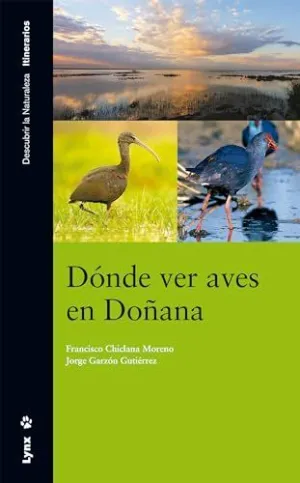 DONDE VER AVES EN DOÑANA DONDE VER AVES EN DOÑANA