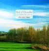 BAL D'ONSELLA: LOS COLORES DEL SILENCIO