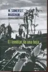 EL TEMBLAR DE LA HOJA
