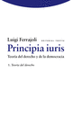 PRINCIPIA IURIS VOL I