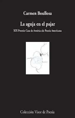 LA AGUJA EN EL PAJAR LA AGUJA EN EL PAJAR