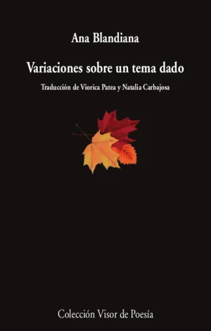 VARIACIONES SOBRE UN TEMA DADO.