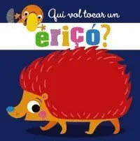 QUI VOL TOCAR UN ERIÇÓ?