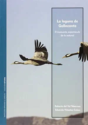 LAGUNA DE GALLOCANTA, LA. EL INCESANTE ESPECTÁCULO DE LO NATURAL