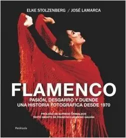 FLAMENCO EN FOTOS