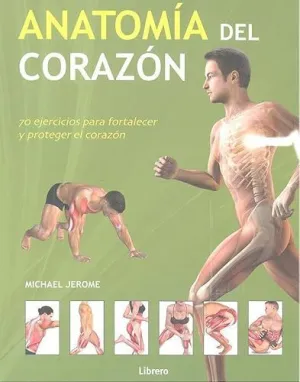 Anatomía del Corazón
