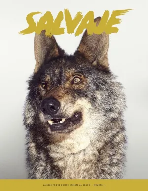 REVISTA SALVAJE Nº 11, INVIERNO 2021