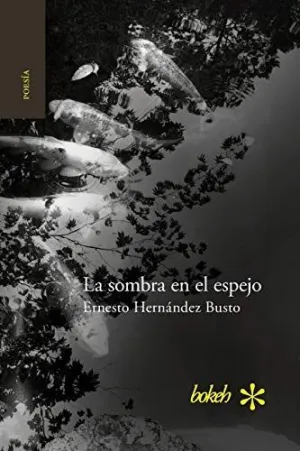 La Sombra en el Espejo. Versiones Japonesas