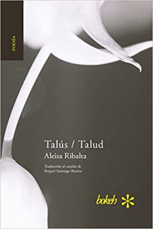 TALUS / TALUD