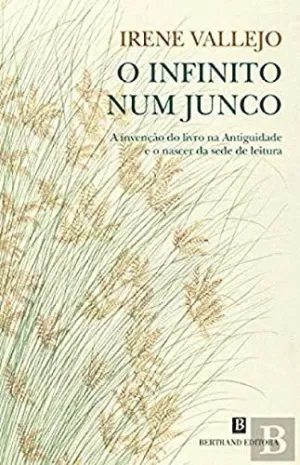 O INFINITO NUM JUNCO