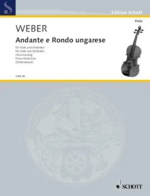 ANDANTE Y RONDO HUNGARO (VAP)