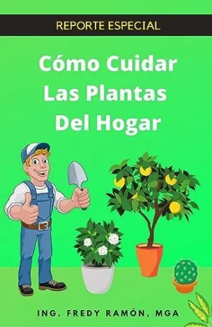 CO`MO CUIDAR LAS PLANTAS DEL HOGAR CO`MO CUIDAR LAS PLANTAS DEL HOGAR