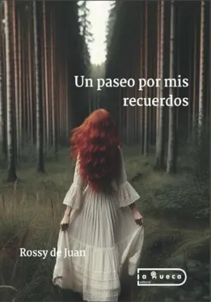 Un Paseo por Mis Recuerdos