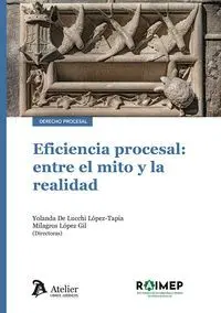 EFICIENCIA PROCESAL ENTRE EL MITO Y LA REALIDAD