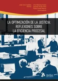 LA OPTIMIZACION DE LA JUSTICIA REFLEXIONES SOBRE LA EFICIEN