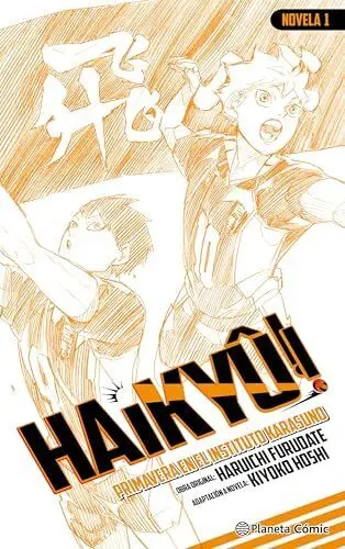 Haiky?!! (Novela) N? 01